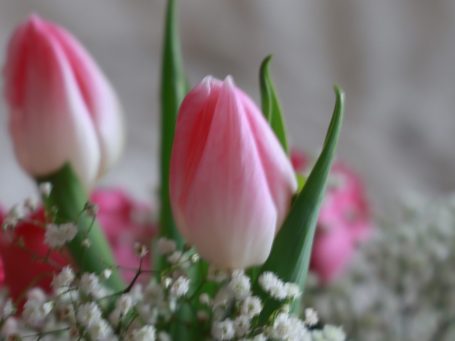 Event & Party Eure Feier in lebendigen Bildern